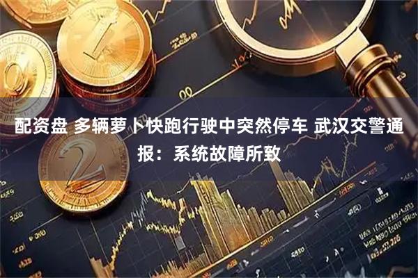 配资盘 多辆萝卜快跑行驶中突然停车 武汉交警通报：系统故障所致