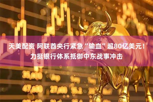天美配资 阿联酋央行紧急“输血”超80亿美元！力挺银行体系抵御中东战事冲击